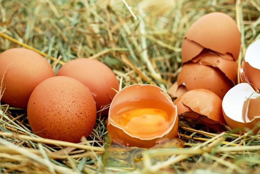 Le prix des œufs va tripler à cause de cette nouvelle directive européenne