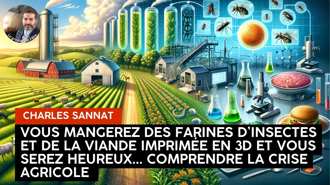 « Vous mangerez de la merde et vous serez heureux ! Farine d’insectes, viande cellulaire, comprendre la crise agricole ». L’édito de Charles SANNAT