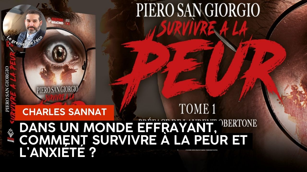 « Dans un monde effrayant, comment survivre à la peur et gérer l’anxiété ? ! ». L’édito de Charles SANNAT