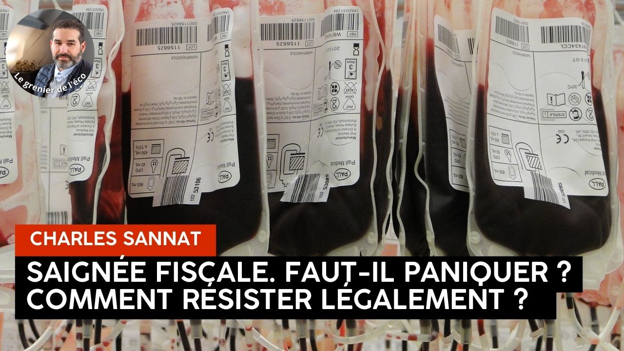 « La saignée Fiscale. Faut-il paniquer ? Comment y résister légalement ? ». L’édito de Charles SANNAT