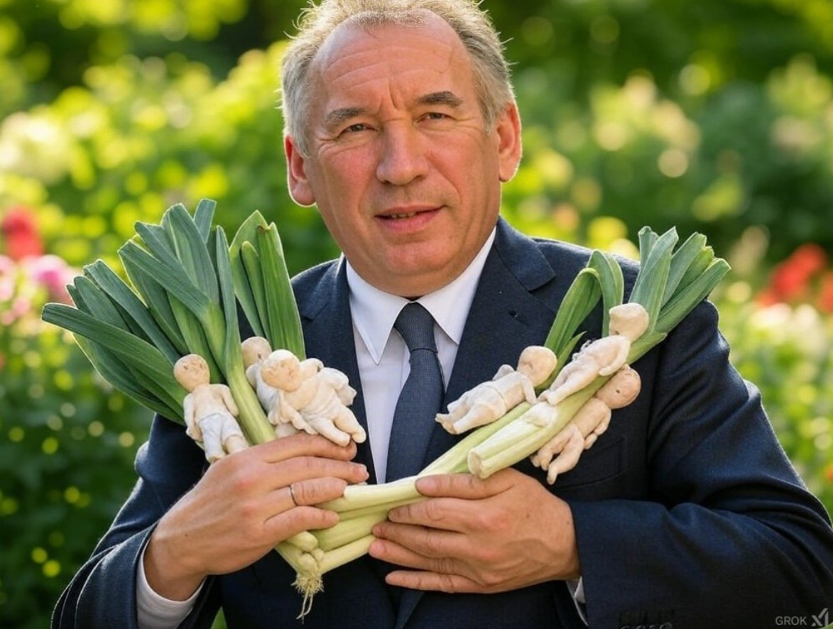 « Bayrou. Les enfants ne sont pas comme les poireaux, ils ne poussent pas tous à la même vitesse ! ». L’édito de Charles SANNAT