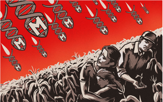 Bayer offre 62 milliards de dollars pour acheter Monsanto
