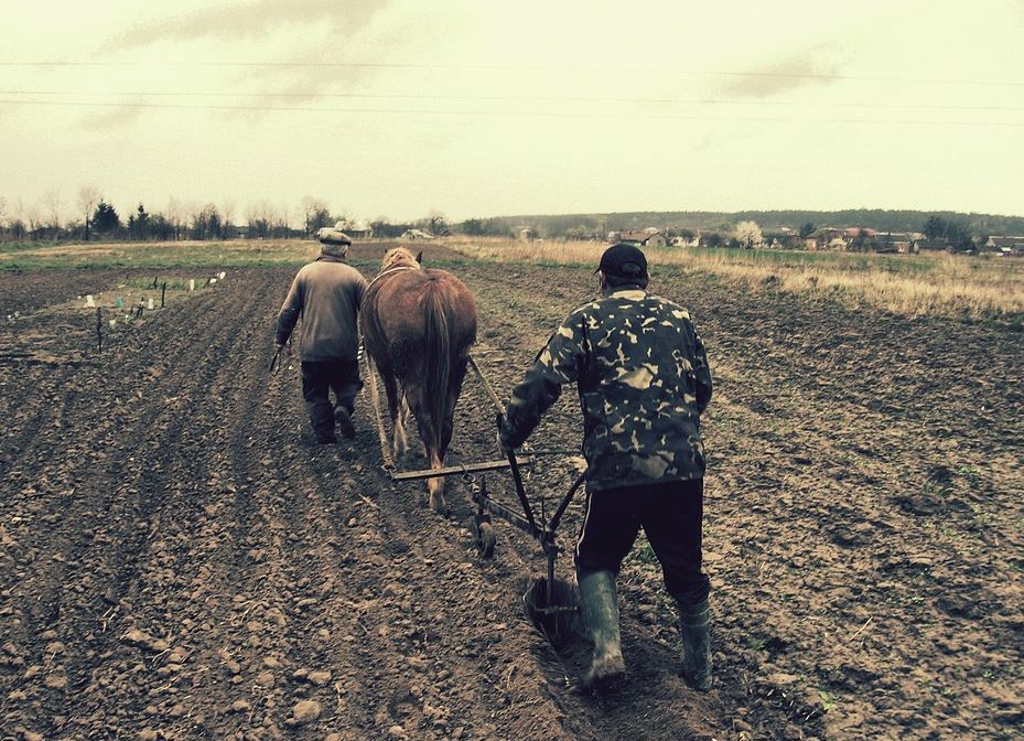 «  L’effondrement a déjà commencé. L’exode urbain ! Série de l’été » L’édito de Charles SANNAT