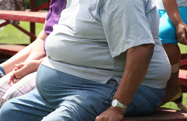 71 % des jeunes américains sont soit trop cons, soit trop gros…