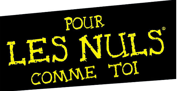 « Le CDD pour les nuls… édition spéciale pour la ministresse! » L’édito de Charles SANNAT !