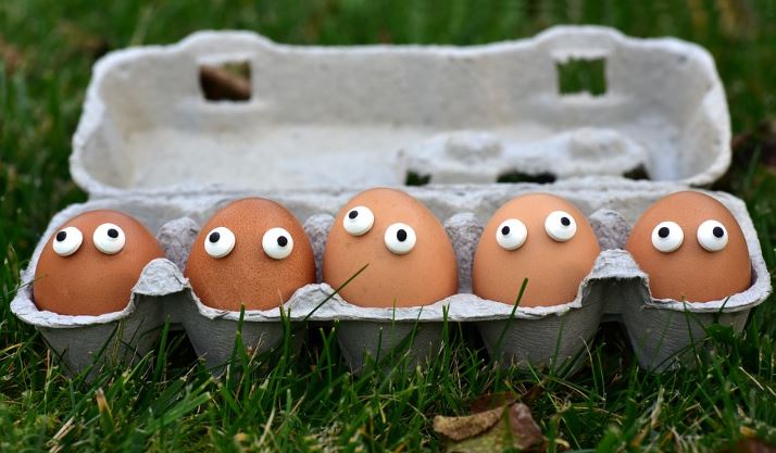 Les œufs sans… les poules. Les œufs de synthèse dans vos assiettes d’ici 2 ans.