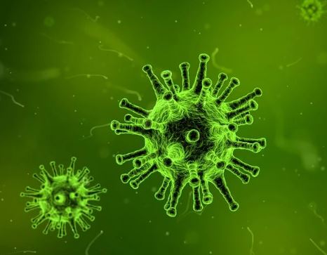 Coronavirus, chroniques de la pandémie. 30 janvier 2020.